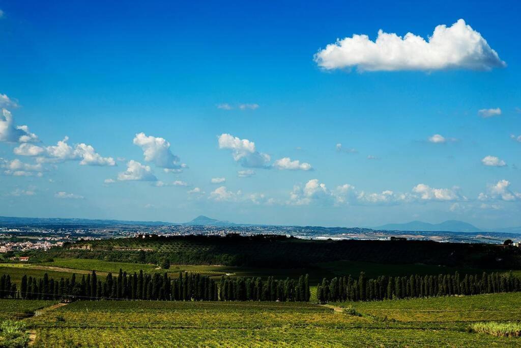 Merumalia Wine Resort Frascati Exterior foto