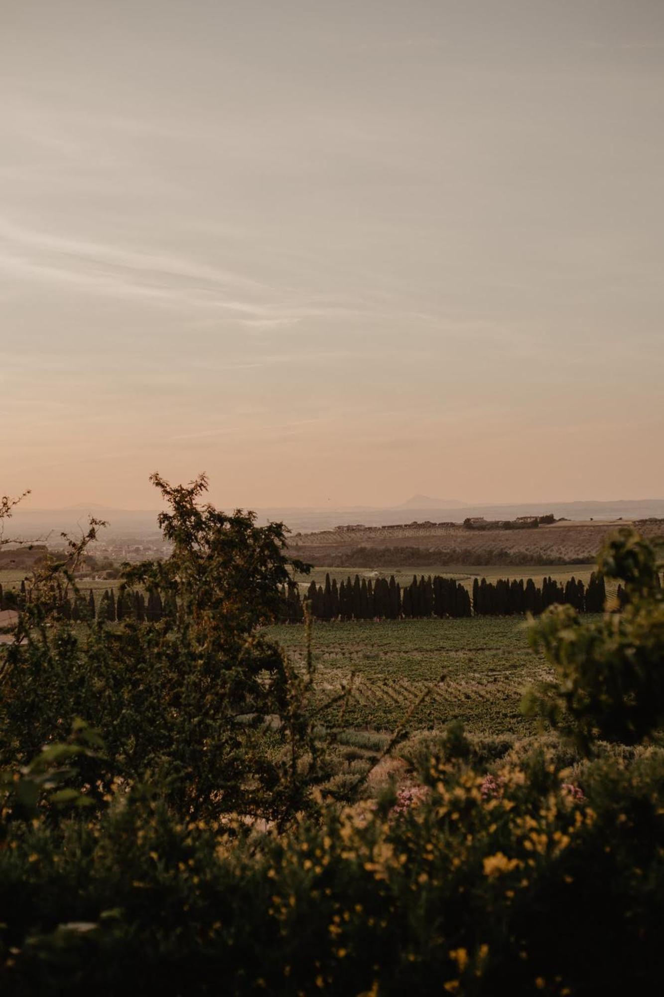 Merumalia Wine Resort Frascati Exterior foto
