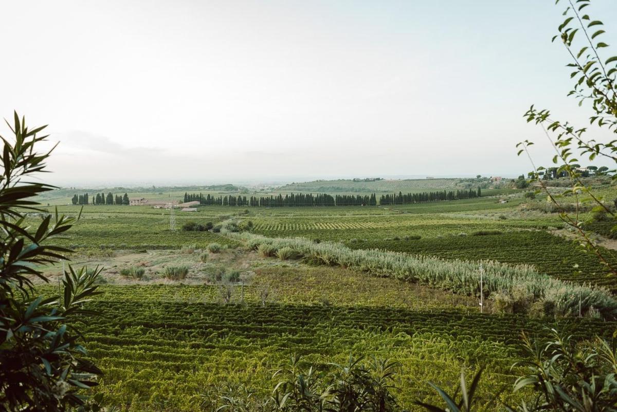 Merumalia Wine Resort Frascati Exterior foto