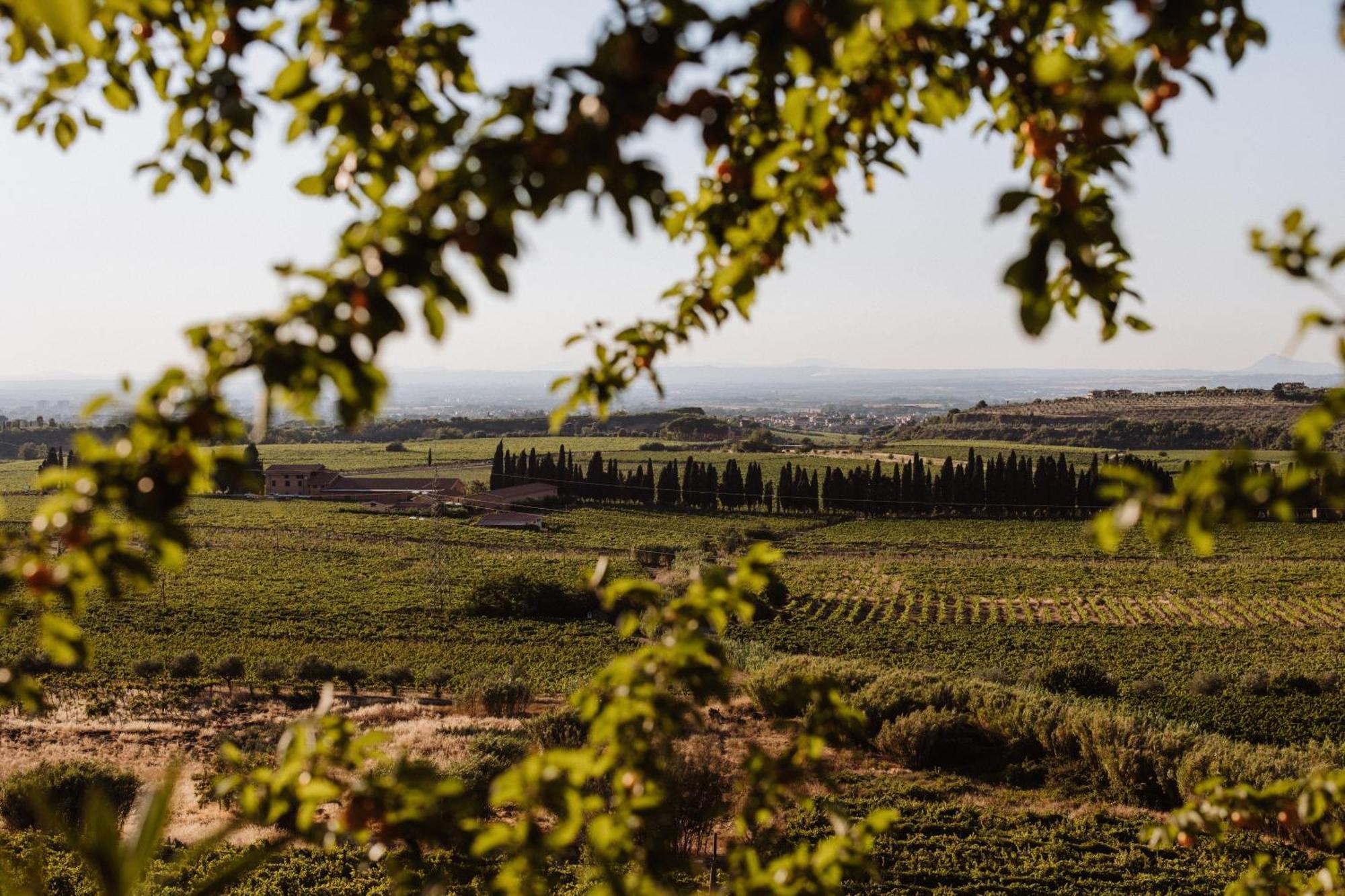 Merumalia Wine Resort Frascati Exterior foto