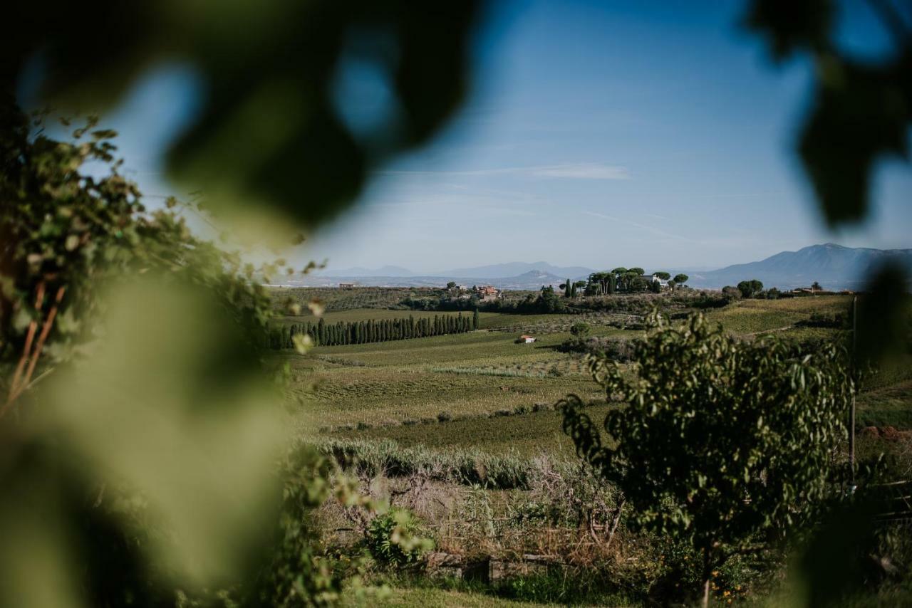 Merumalia Wine Resort Frascati Exterior foto